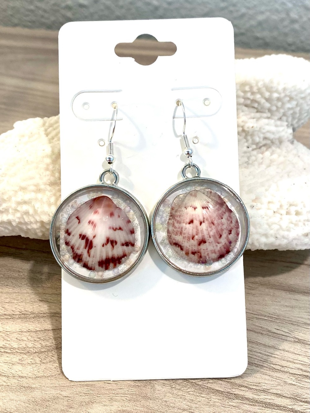75. Silver Sanibel Calico scallop Shell Drop Earrings